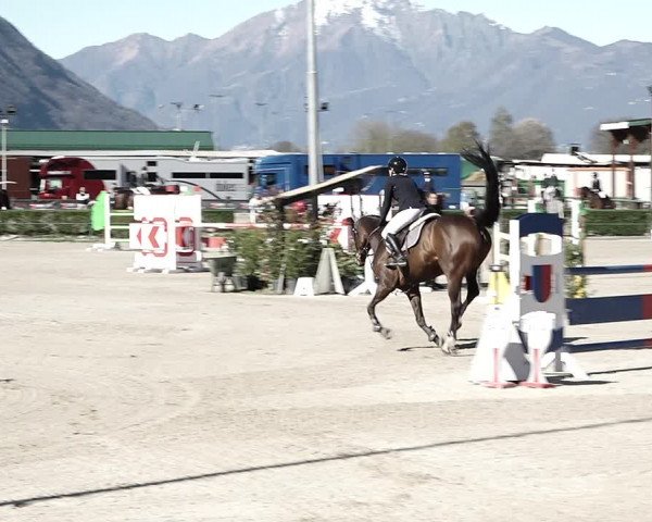 Reitturnier Giubiasco 2023