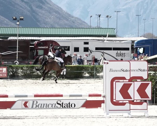 Reitturnier Giubiasco 2023