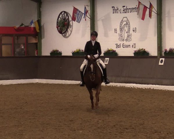 Reitturnier Bad Essen 2021