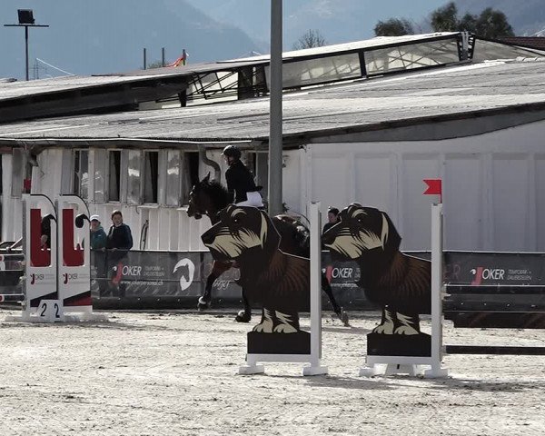 Reitturnier Giubiasco 2023