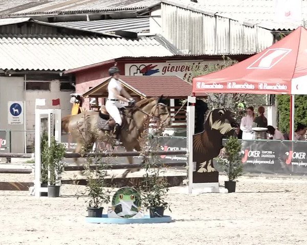 Reitturnier Giubiasco 2023