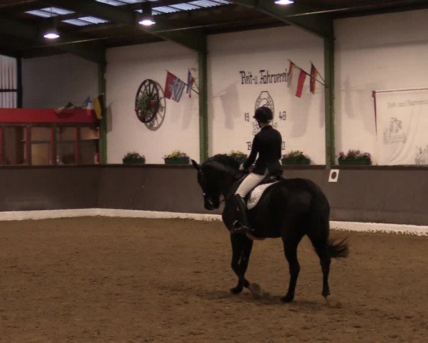 Reitturnier Bad Essen 2021