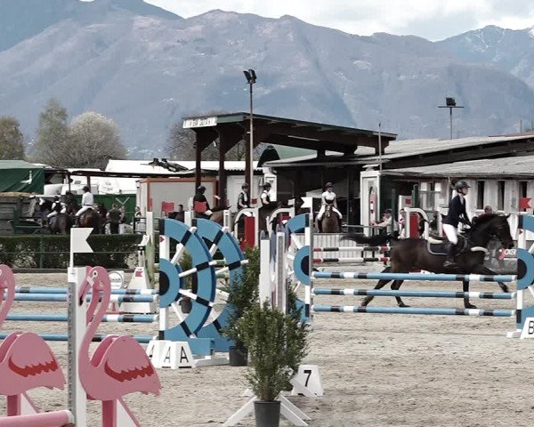 Reitturnier Giubiasco 2023