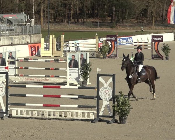 Reitturnier Westergellersen 2023