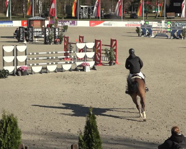 Reitturnier Westergellersen 2023