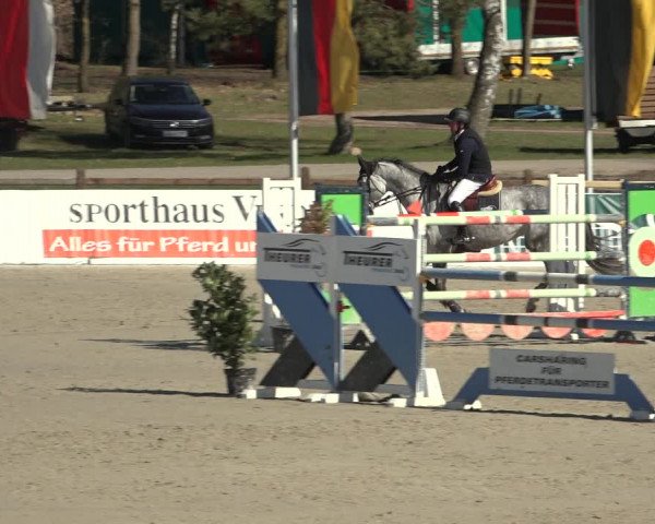 Reitturnier Westergellersen 2023