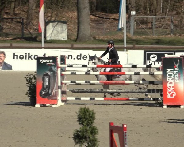 Reitturnier Westergellersen 2023