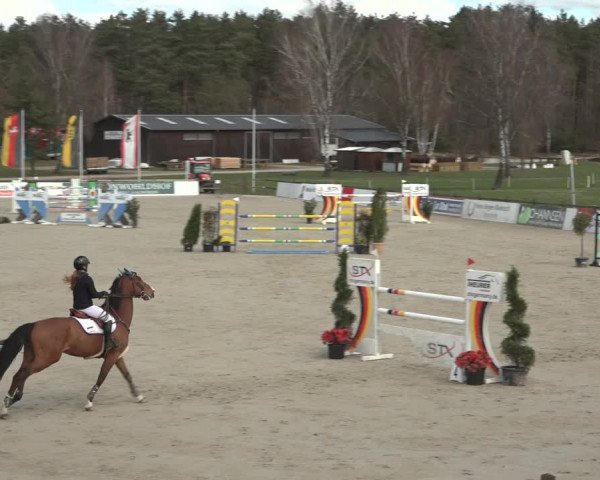 Reitturnier Westergellersen 2023