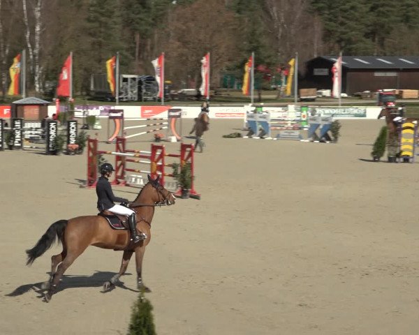 Reitturnier Westergellersen 2023