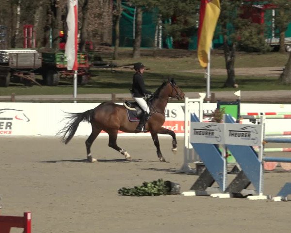 Reitturnier Westergellersen 2023