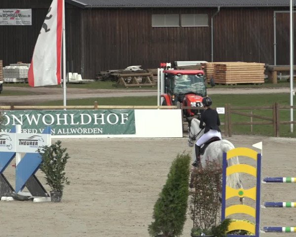 Reitturnier Westergellersen 2023