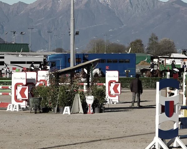 Reitturnier Giubiasco 2023