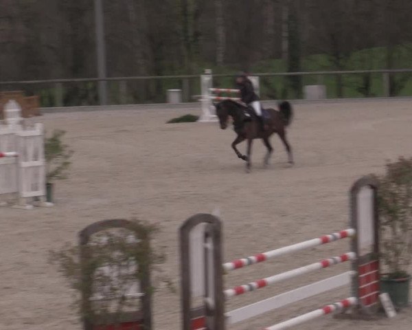 Reitturnier Erkrath - Uhlenhof 2023