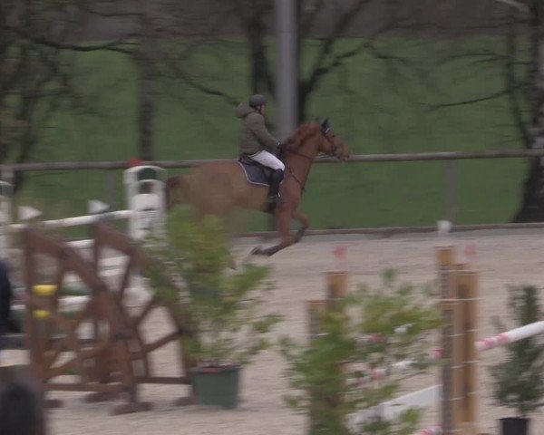 Reitturnier Erkrath - Uhlenhof 2023