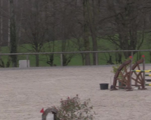 Reitturnier Erkrath - Uhlenhof 2023