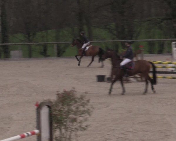 Reitturnier Erkrath - Uhlenhof 2023