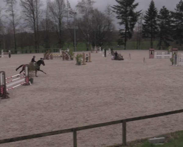 Reitturnier Erkrath - Uhlenhof 2023