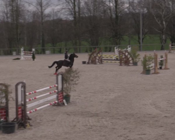 Reitturnier Erkrath - Uhlenhof 2023