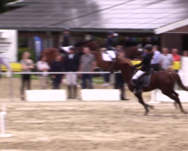 Springturnier Lüdinghausen 2021