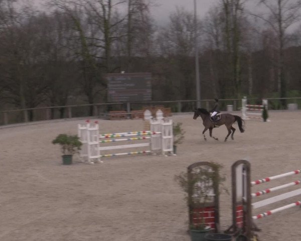 Reitturnier Erkrath - Uhlenhof 2023
