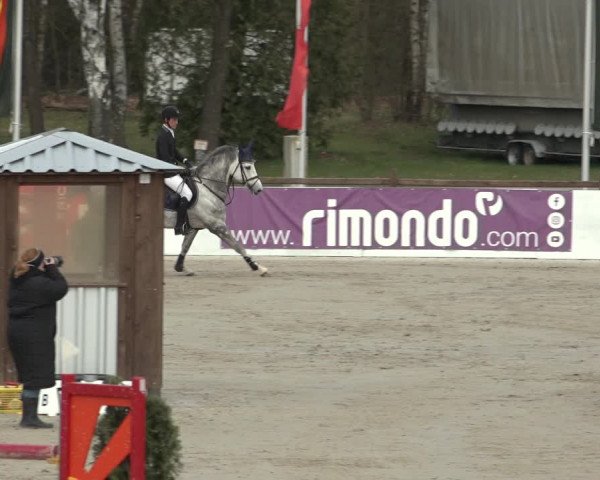 Reitturnier Westergellersen 2023