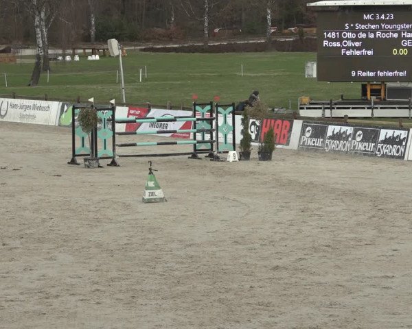 Reitturnier Westergellersen 2023