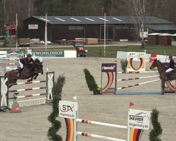 Reitturnier Westergellersen 2023