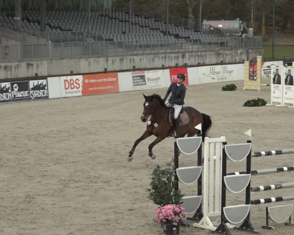 Reitturnier Westergellersen 2023