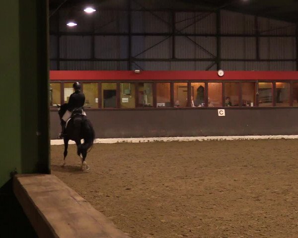 Reitturnier Bad Essen 2021