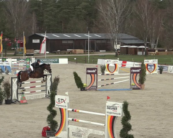 Reitturnier Westergellersen 2023