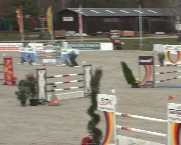 Reitturnier Westergellersen 2023