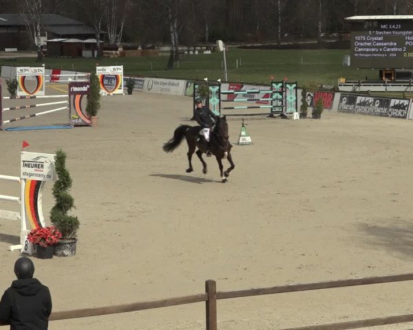 Reitturnier Westergellersen 2023