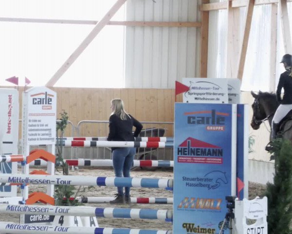 Reitturnier Worms-Pfeddersheim / Reitsportanlage Wittemer 2023