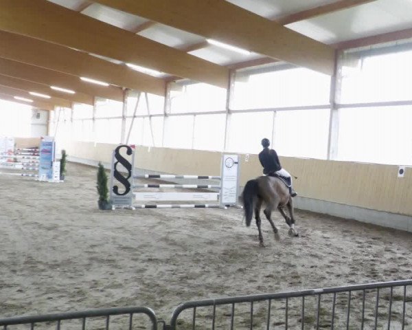 Reitturnier Worms-Pfeddersheim / Reitsportanlage Wittemer 2023