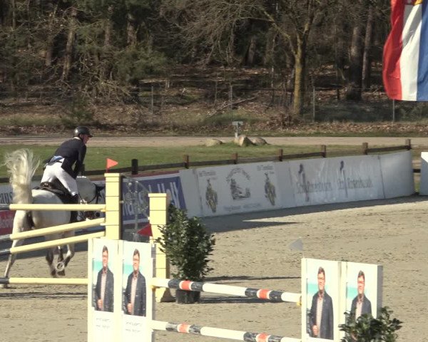 Reitturnier Westergellersen 2023