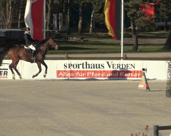 Reitturnier Westergellersen 2023