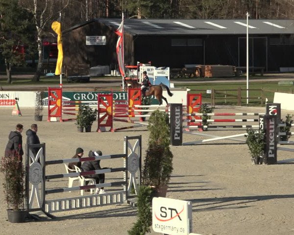 Reitturnier Westergellersen 2023