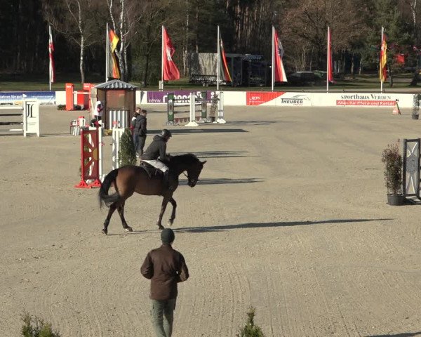 Reitturnier Westergellersen 2023