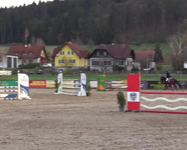 Reitturnier Gniebing-Feldbach 2023