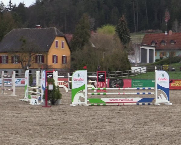 Reitturnier Gniebing-Feldbach 2023