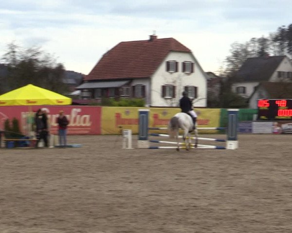 Reitturnier Gniebing-Feldbach 2023