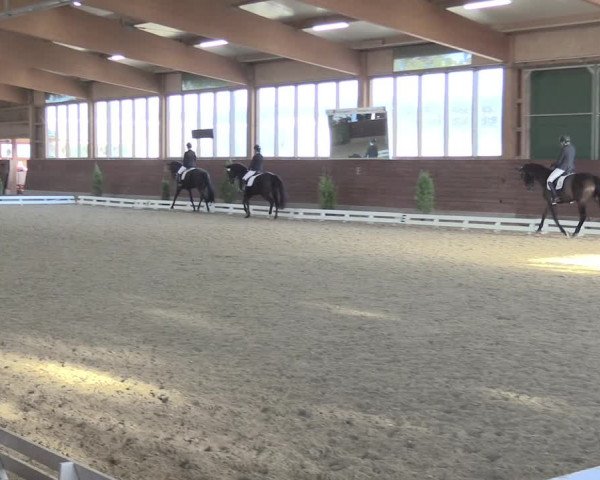 Reitturnier Coesfeld/Lette 2021
