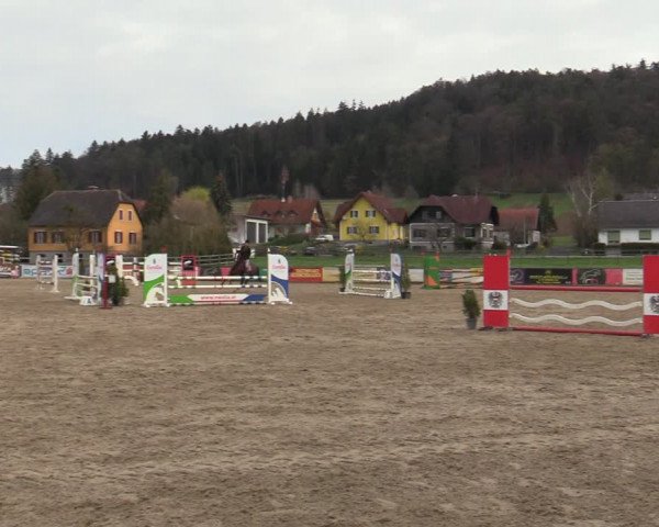 Reitturnier Gniebing-Feldbach 2023