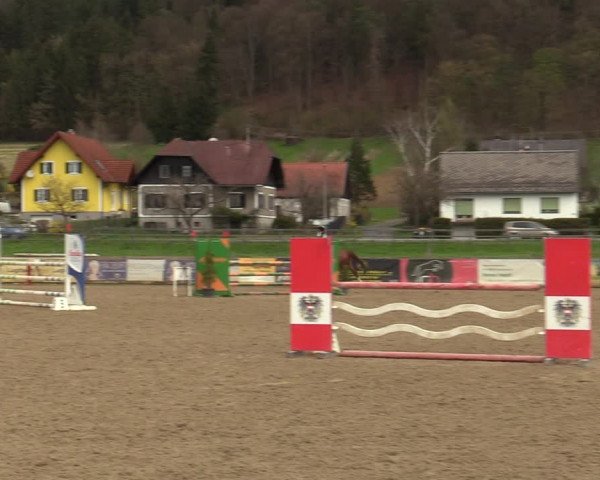 Reitturnier Gniebing-Feldbach 2023