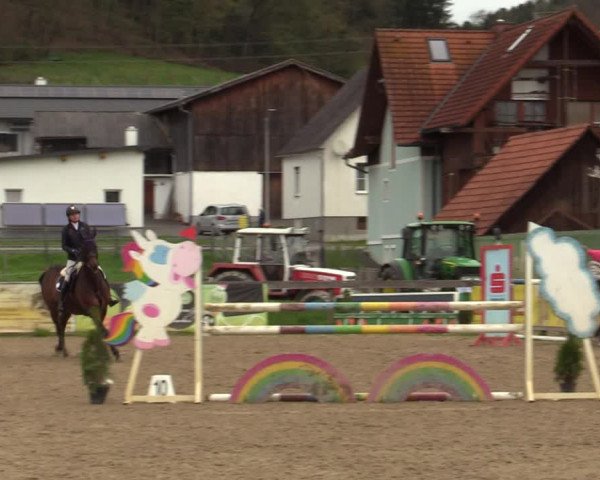 Reitturnier Gniebing-Feldbach 2023