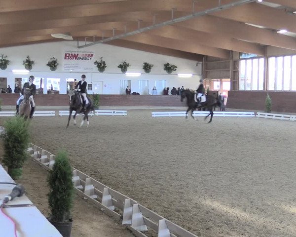 Reitturnier Coesfeld/Lette 2021