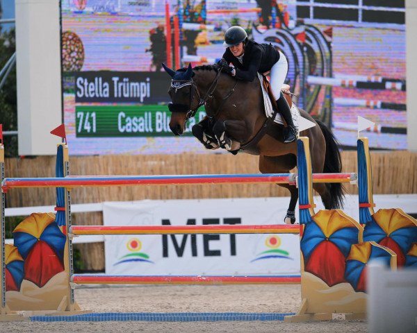 jumper Casall Blue La Brevie (Holsteiner, 2014, from Casall Ask)