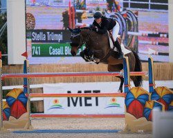 jumper Casall Blue La Brevie (Holsteiner, 2014, from Casall Ask)