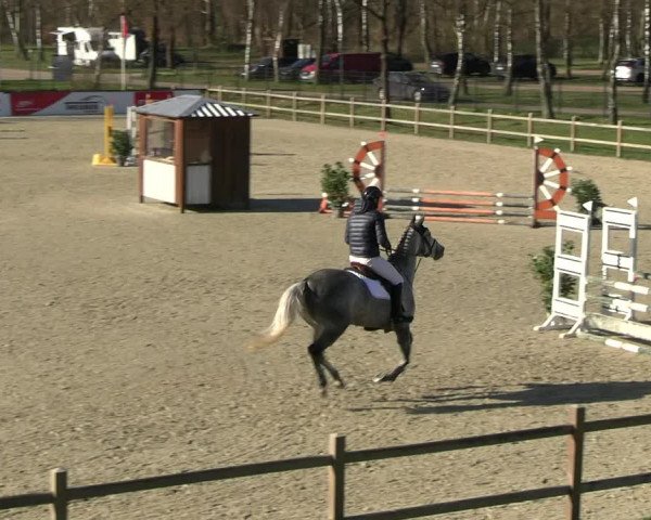 Reitturnier Westergellersen 2023