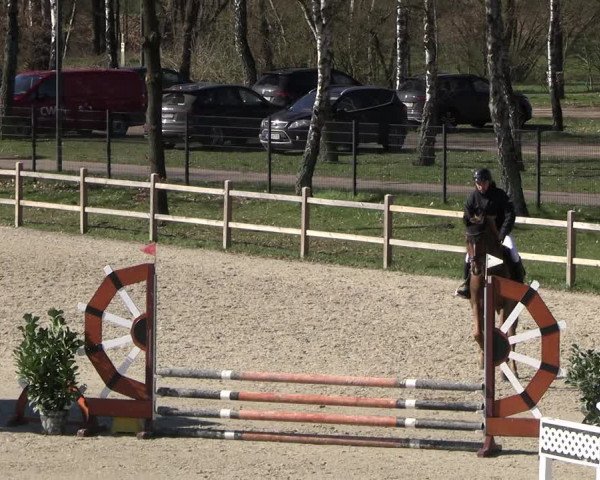 Reitturnier Westergellersen 2023